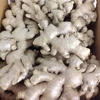 Fresh Ginger/ Air Dry Ginger For Sale