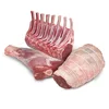 Frozen Halal Ground Lamb Meat