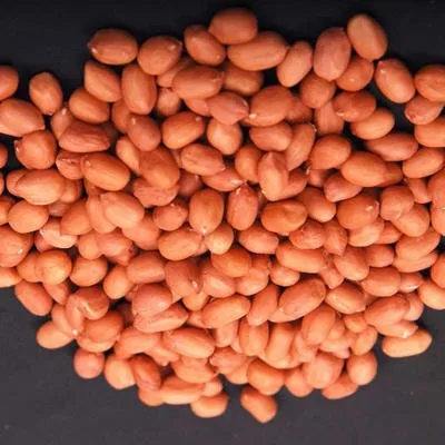 peanut for oil production/kernel peanuts count 38/42 groundnut