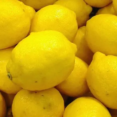 yellow-lemon-500x500.jpg