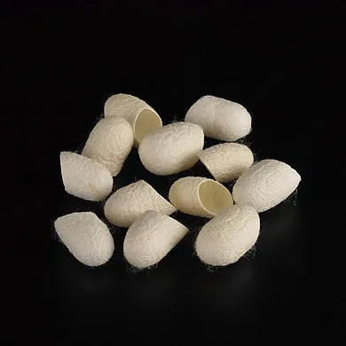 CUTTING SILKWORM COCOON FROM VIETNAM FOR FACE CLEANING/VIETNAMESE HIGH QUALITY SILK FIBER
