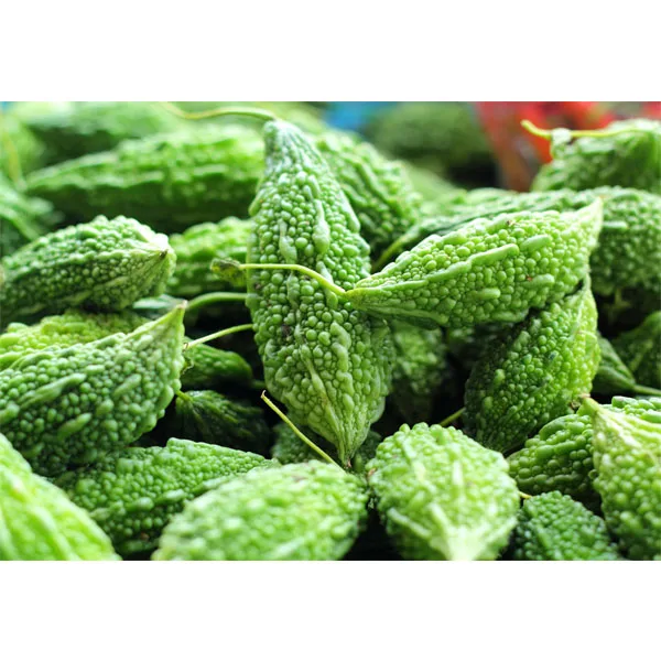 
Fresh Bitter Gourd 