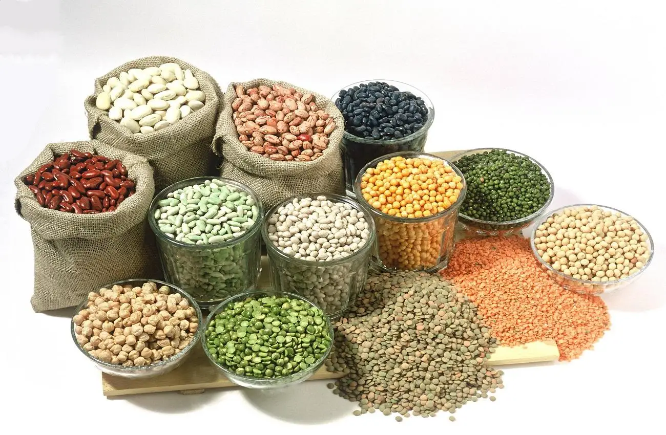 new-crop-organic-red-lentils-specifications-whole-red-lentil-without