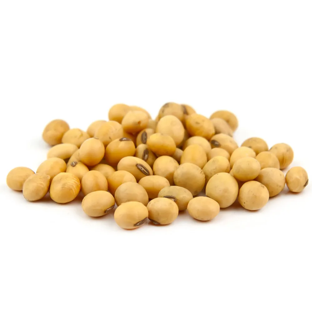 
Bulk soybeans, agriculture product 