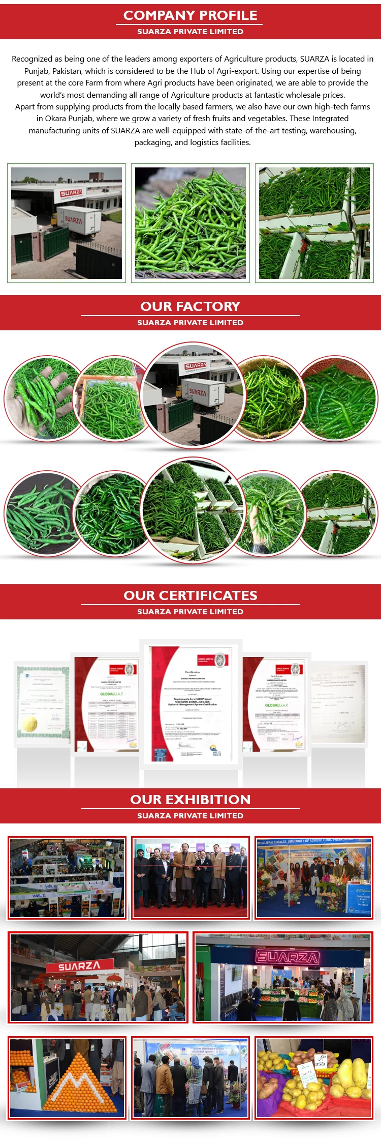 PROFILE PAGE (3).jpg