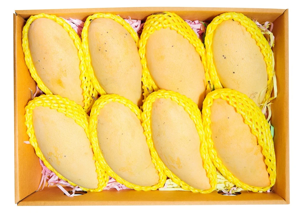 sweet delicious fresh mango fruit with wholesale price - buy