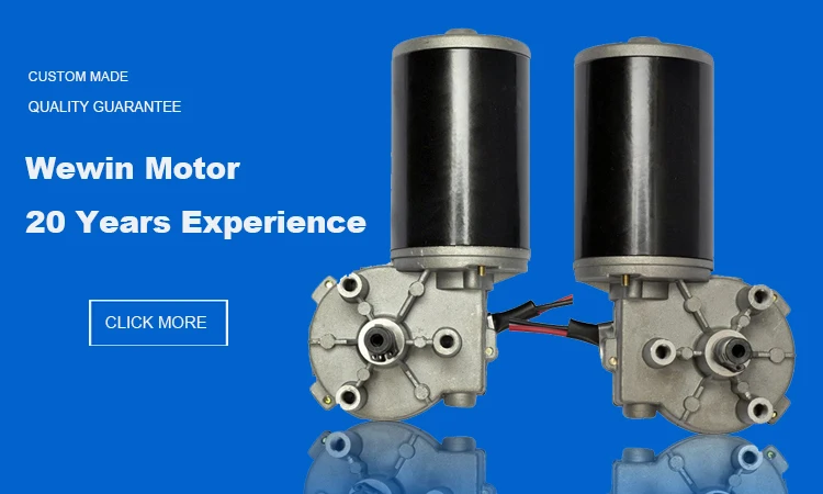 WEWIN DC MOTOR.jpg