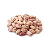 Kidney beans /pinto sugar bean two heads cutting machine