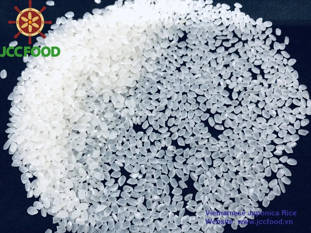 25kg 50kg Pp Bags Or Buyer's Requirement Premium Round Grain Rice