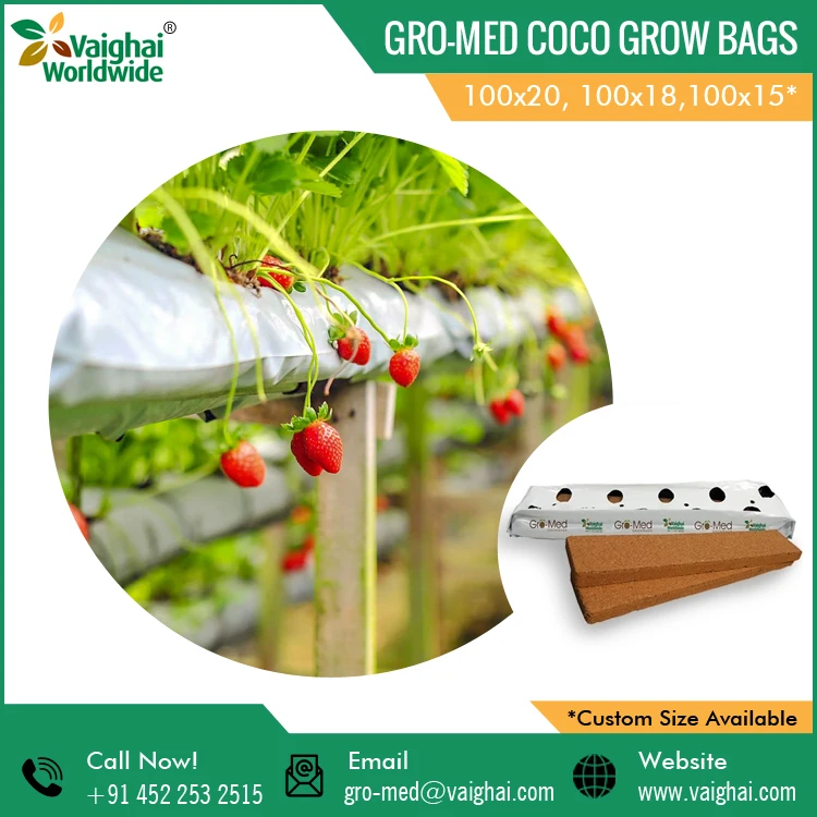 grow-bags-3.jpg