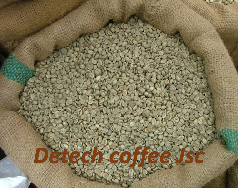 Arabica Green Coffee Beans From Vietnamese Wholesale Supplier Screen 16