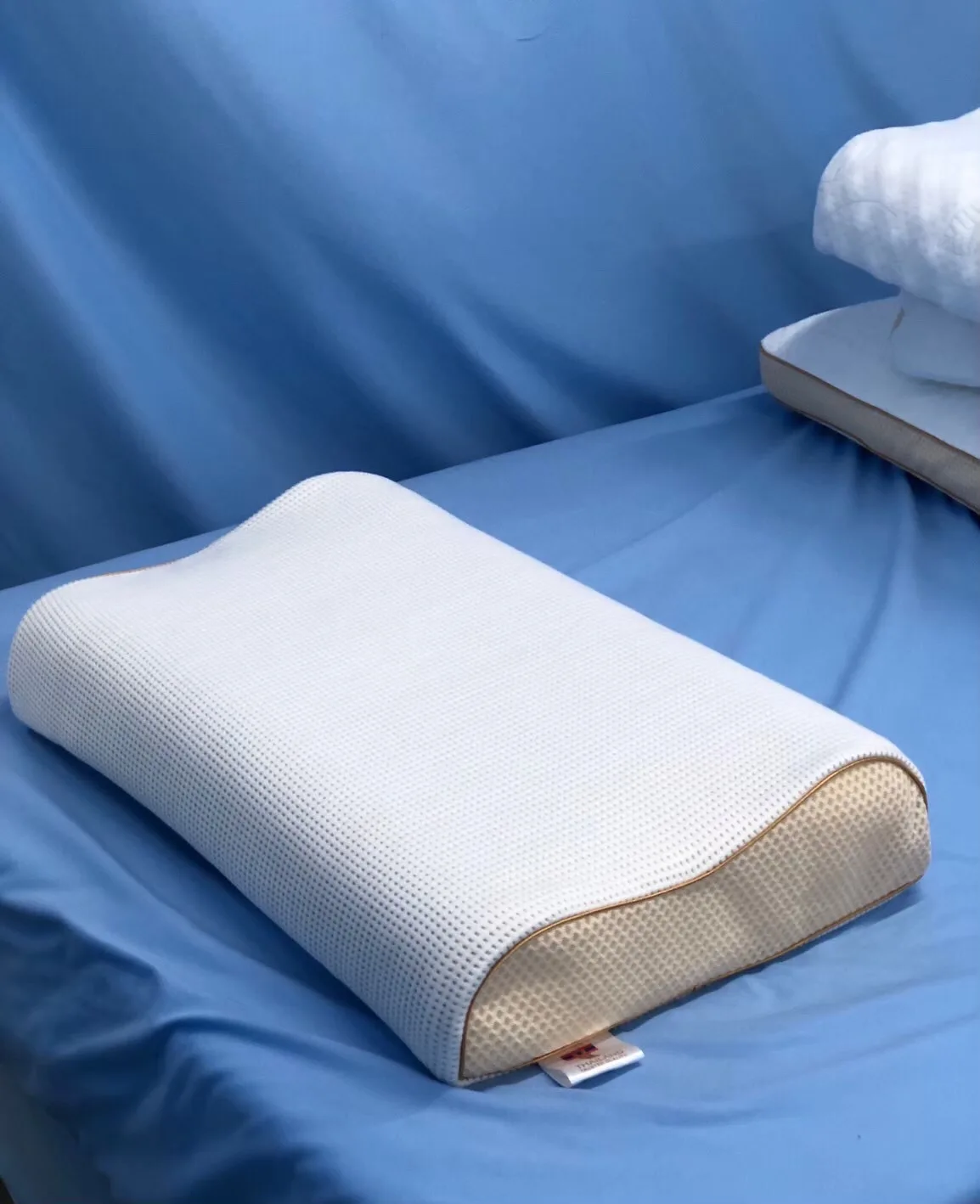 Contour Pillow 100 Nature Comfort Latex Foam Dust Mite Resistant