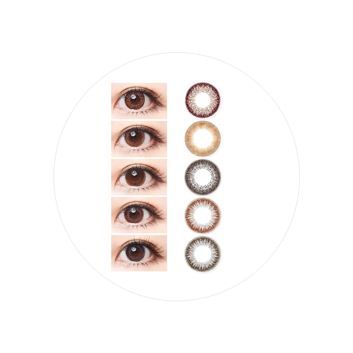 38% Monthly 14mm Polymacon Brown Choco Color Contact Lenses | Soft And Comfortable | High Quality | UV Blocking