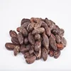 fermented cocoa beans Dried Cocoa Beans Raw Cocoa