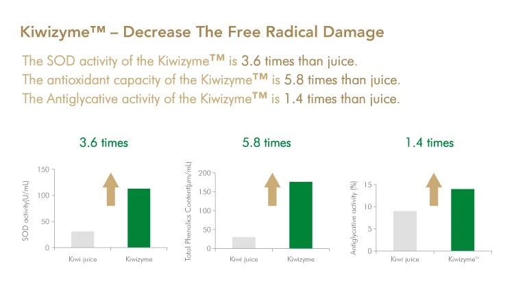 HNC_Fulltastic-Kiwi-03