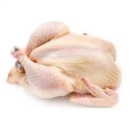 FROZEN CHICKEN 4.jpeg
