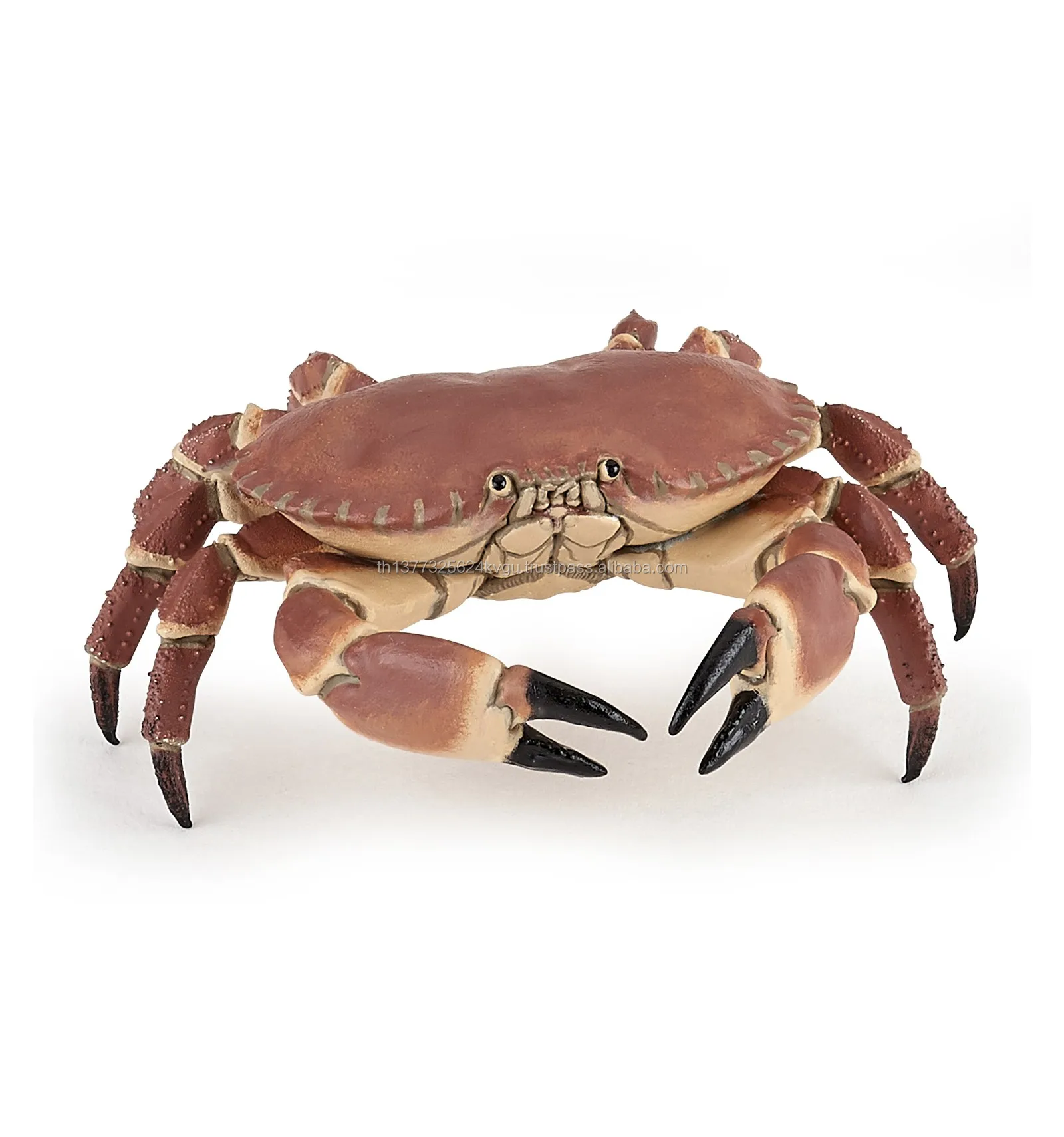 crab (1).jpg