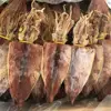 Dried Squid / Cuttlefish
