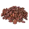 High quality natuer extract powder cocoa seed extract cocoa bean powder