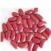 Special Quality Dark Red Kidney Beans and White Kidney Beans