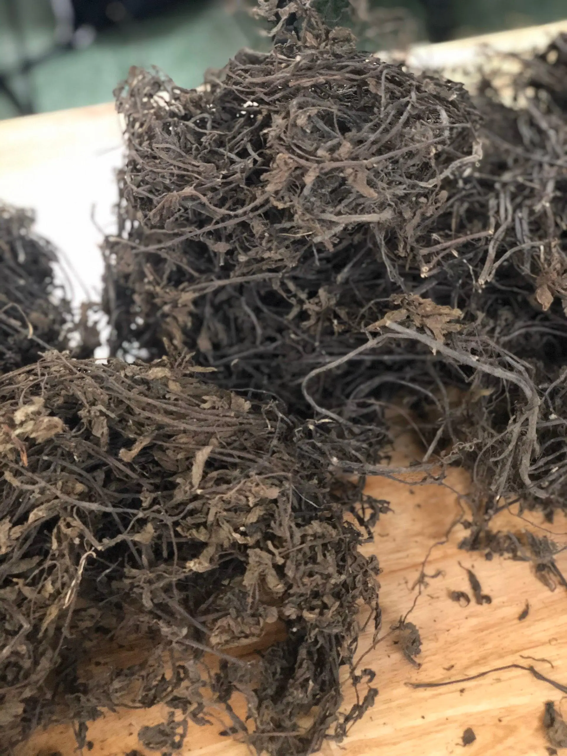 High Gum Dried Black Grass Jelly Leaves/ Grass Jelly Stick/ Mesona