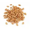 Wheat class 3 & 4