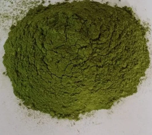 moringa powder7
