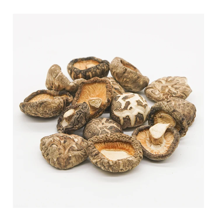 Pure Dried Shiitake,The Best Vietnamese Dried Shiitakeivy Hh+