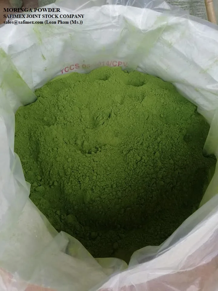 moringa powder1