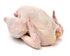 /product-detail/100-brazilian-frozen-whole-chicken-ship-to-dubai-saudi-kuwait-qatar-etc-62015425500.html