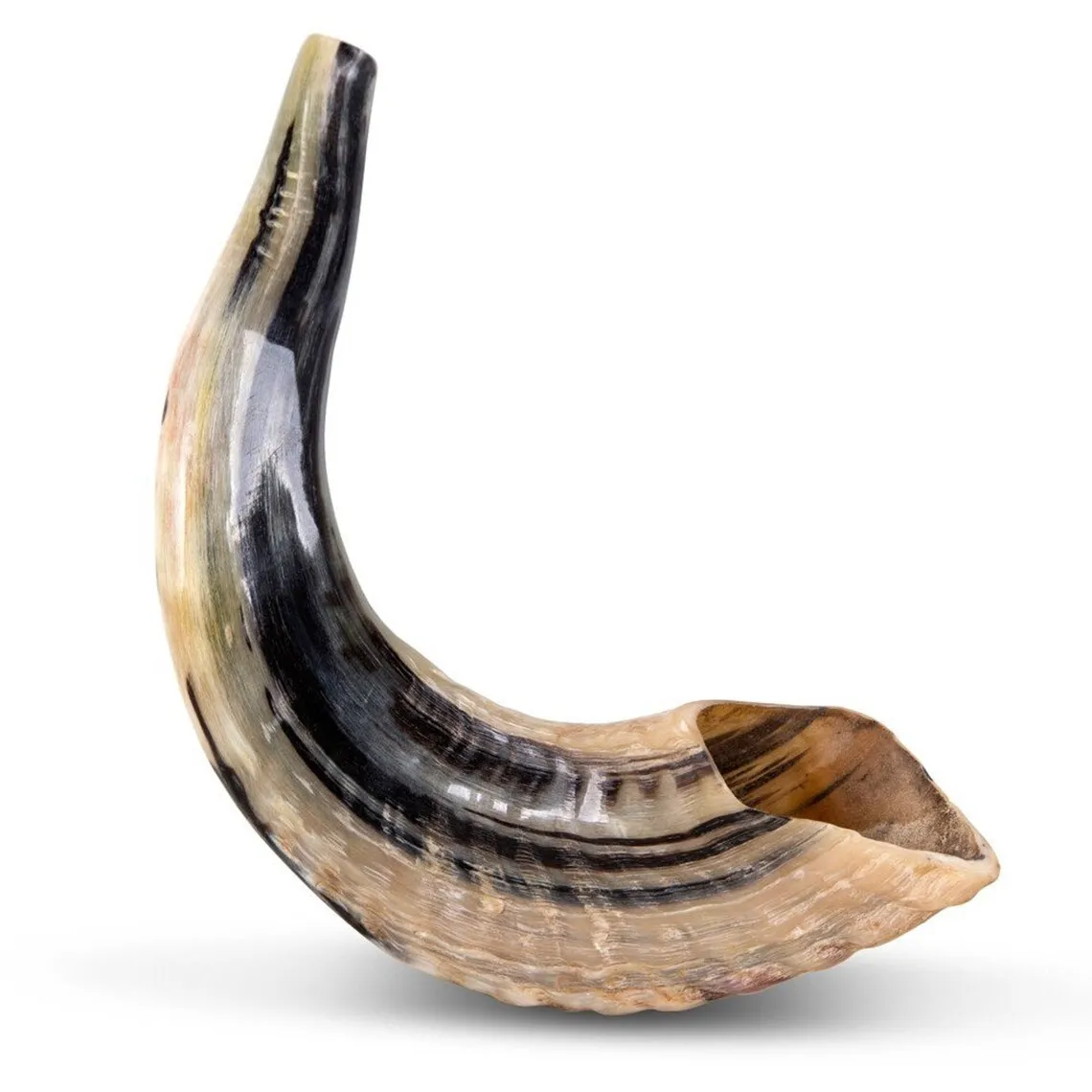 Natural Ram Horn Shofar For Blowing And Religious Purpose Kosher Shofar ...