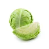 Ukraine High Quality Fresh Cabbage