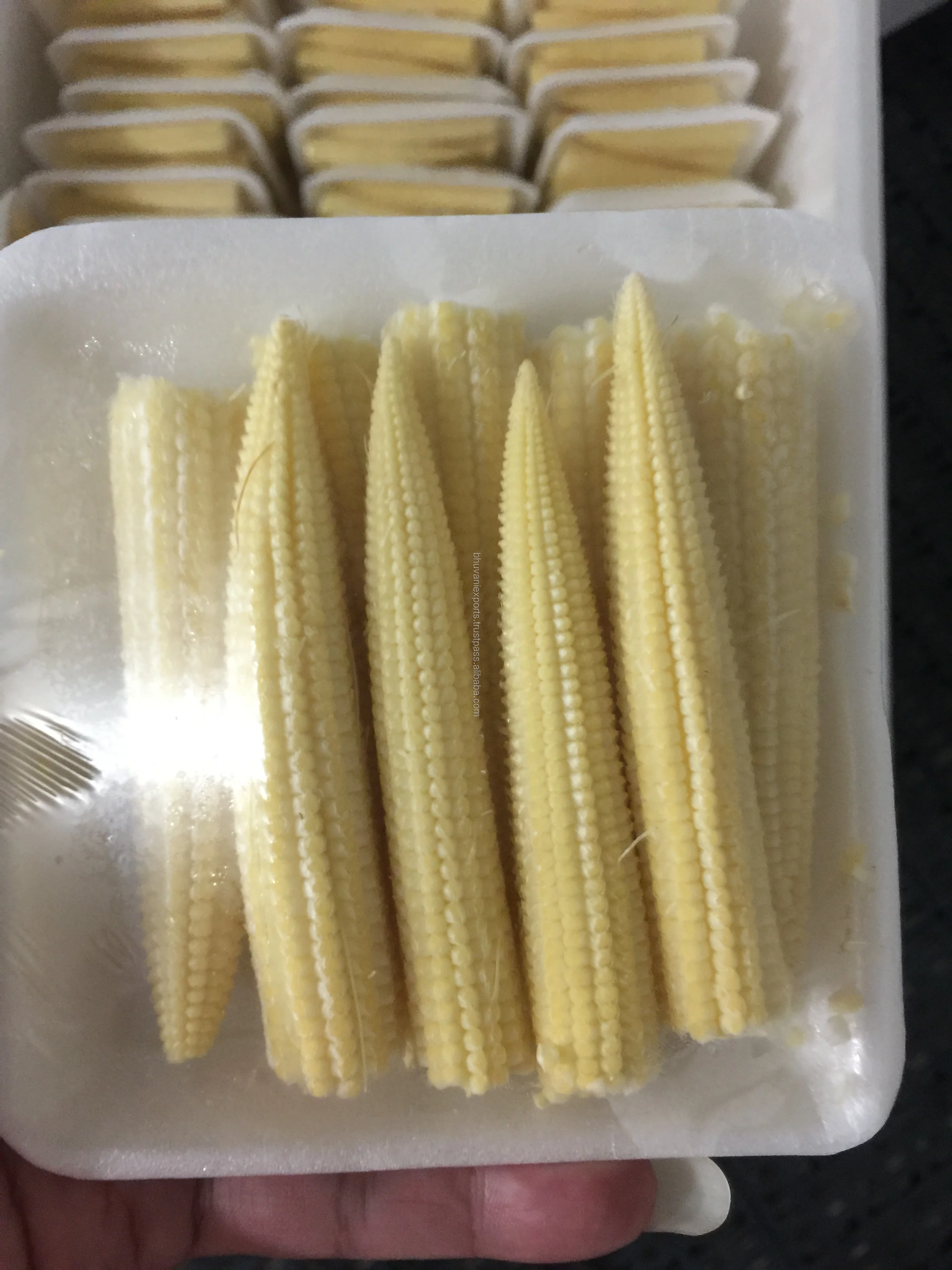 Baby Corn 3.JPG