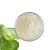 Bulk Aloe vera gel powder extract