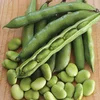 /product-detail/quality-broad-beans-fava-beans-62010742692.html