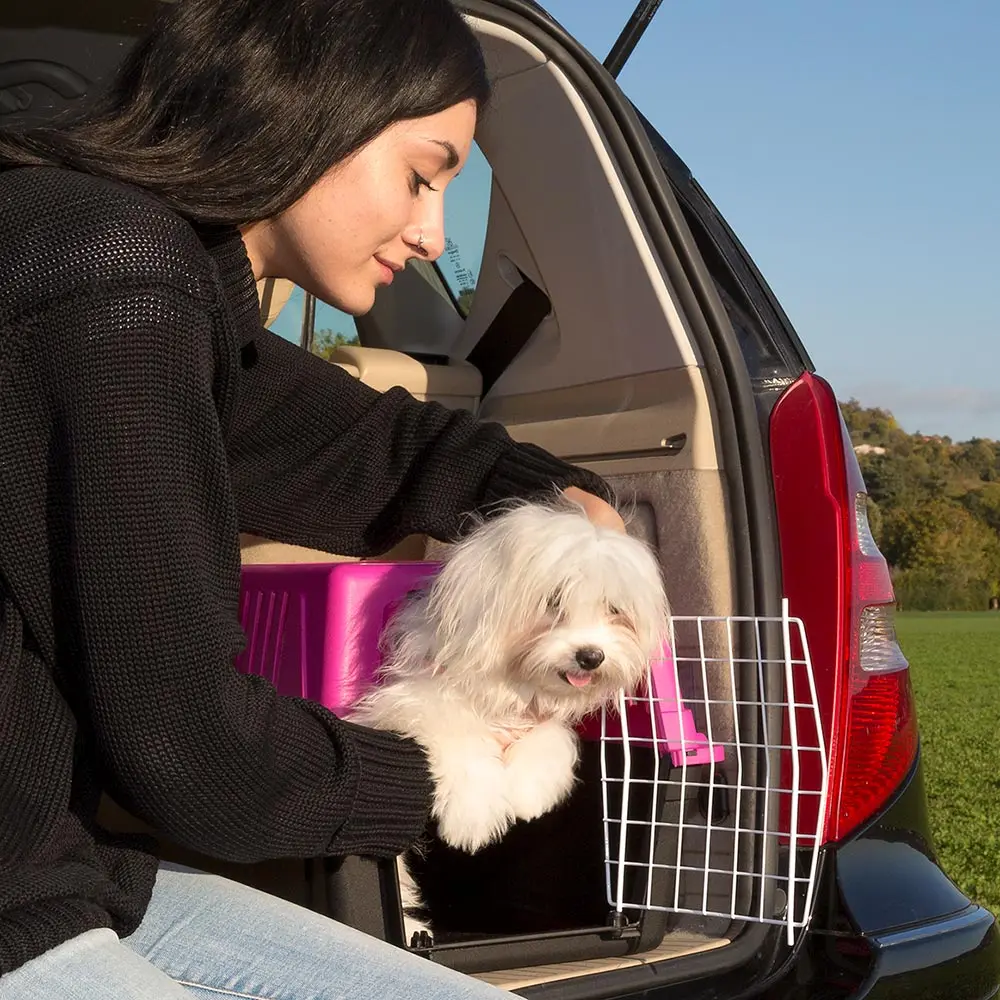 Rigid Carrier For Small Sized Dogs And Cats Atlas 10 El,Plasticcoated