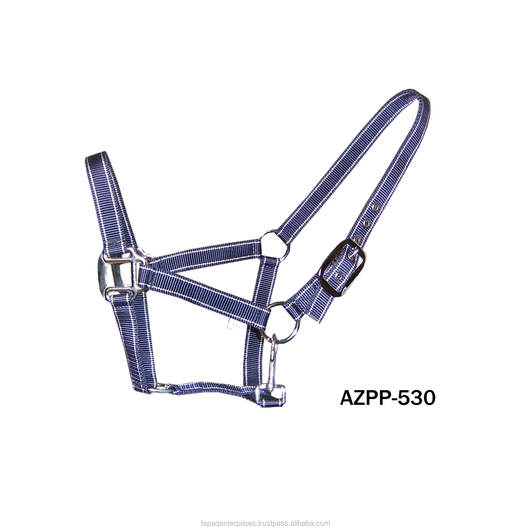 AZPP 530.jpg
