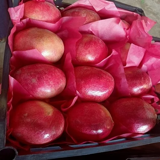 
fresh Egyptian pomegranate 