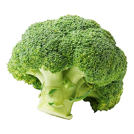 best prices fresh broccoli ,fresh green brocolli,frozen fresh