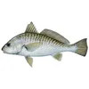 Best Quality Frozen Croaker fish.... Great Price... Fast Shipping!!!