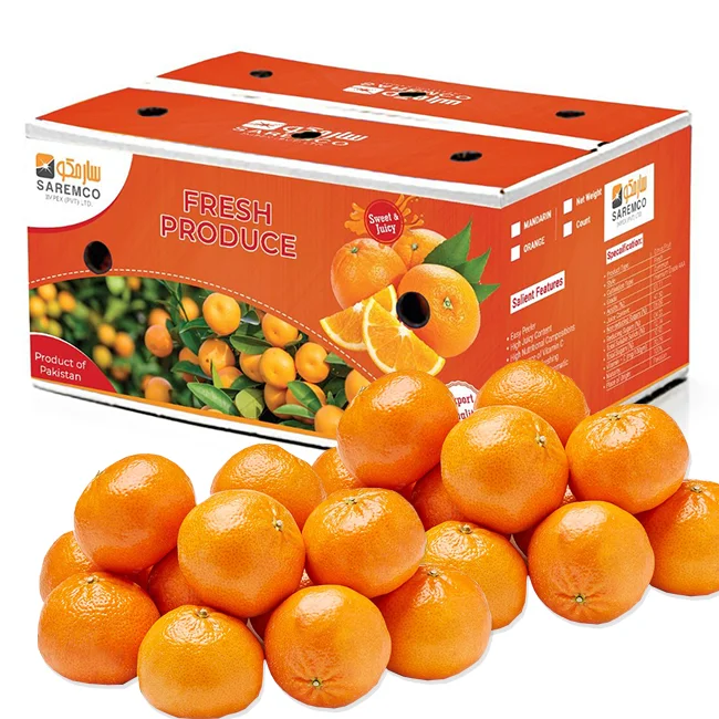 Fresh Mandarin Orange 2022 Chinese Mandarin Orange With Cheap Price And