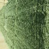 Alfalfa Hay High Quality Animal Feed