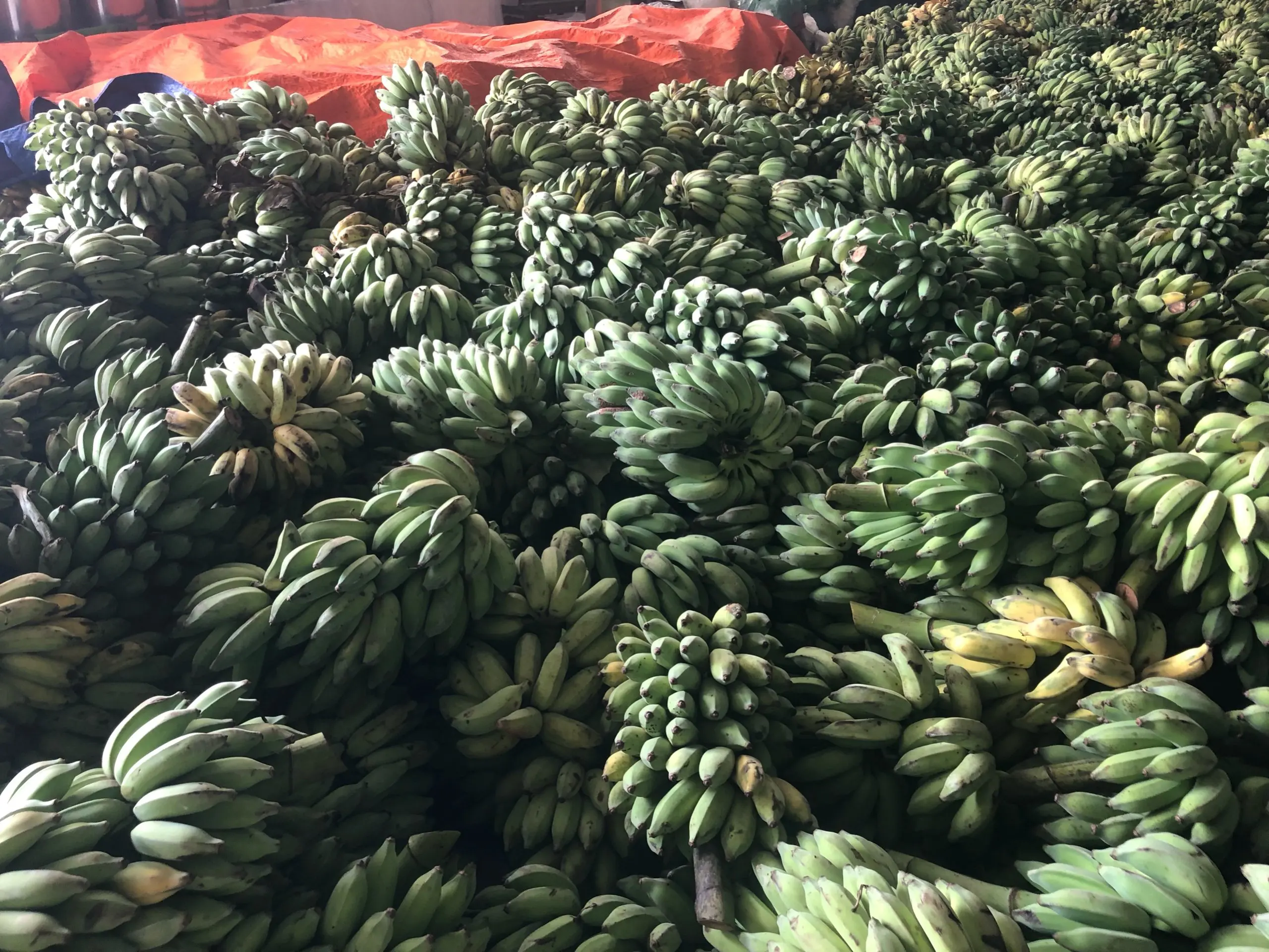 Nha may Nanufood (19).jpg