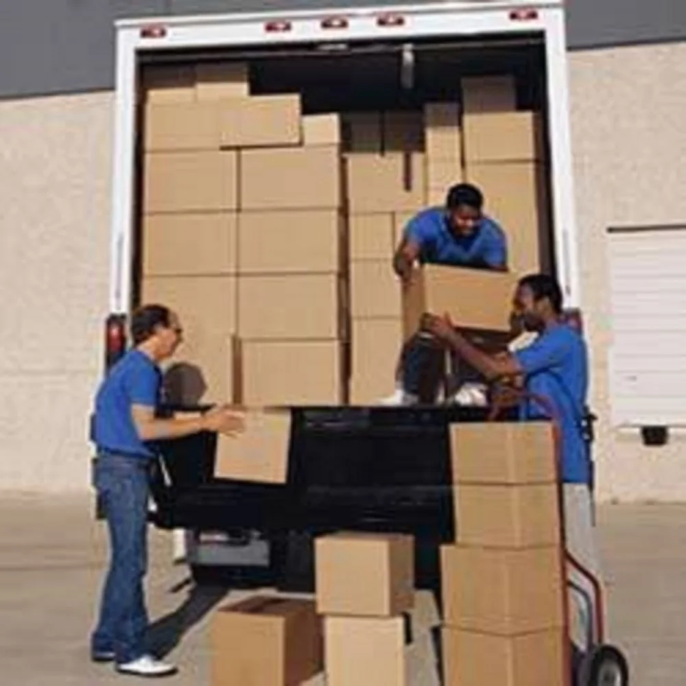 Load unload. Грузчики грузовик. Грузчики картинки. Loading and unloading services. Подъемные для зоны погрузки разгрузки.