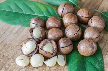 macadamia nuts2.jpg