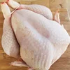 Best Quality Fresh and Frozen Whole Chicken breasts, quarter legs, drumsticks, mid-joint wings, inner fillets/Nobles Affordable