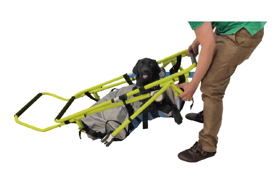 Dog Wheelchair Rehabilitation Walker Disabled Stretcher Handicapped Dog Standing Frame