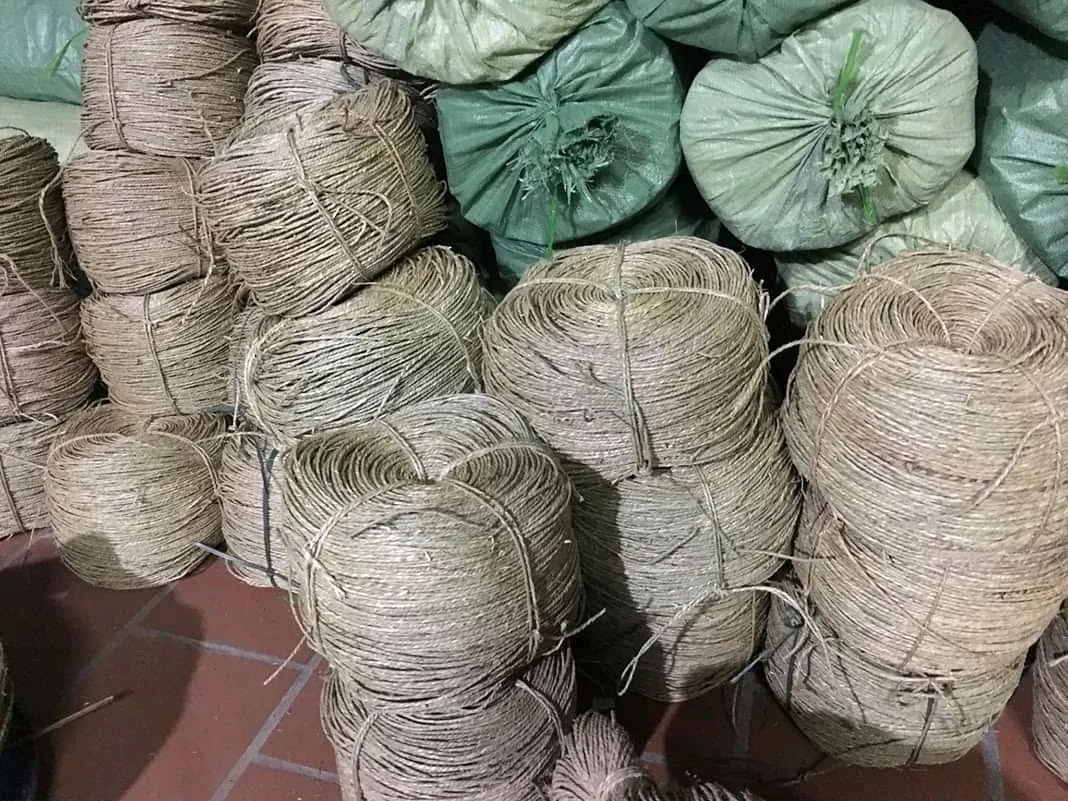 Raw Seagrass Material From Vietnam Hot Sales 2020// Rachel