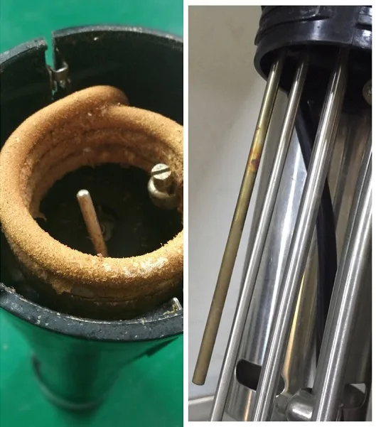 Ultrasonic Sous Vide Innovative Application Even Heat Tenderising