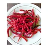 /product-detail/natural-hot-spicy-fresh-red-chili-pepper-super-at-attractive-price-62013073426.html